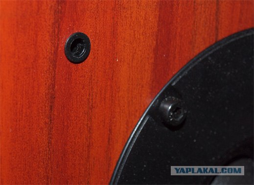 Передняя панель акустической системы на динамиках Visaton Передняя панель акустической системы на динамиках Visaton